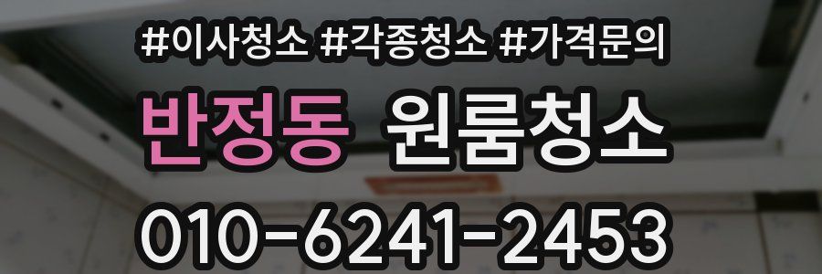 반정동 이사청소