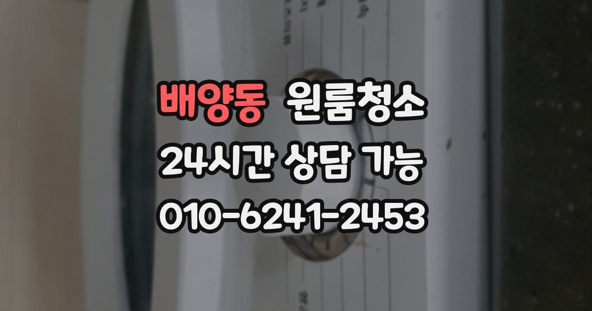 배양동 입주청소