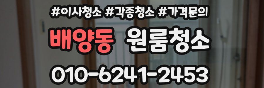 배양동 이사청소