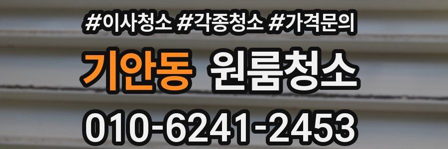 기안동 이사청소