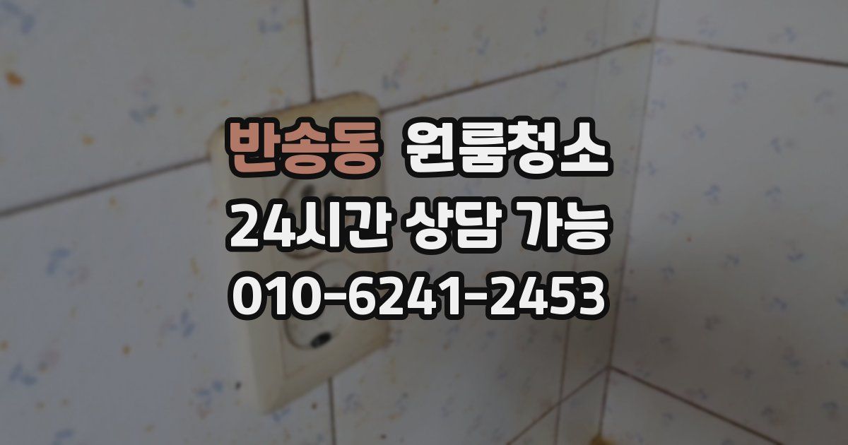 반송동 입주청소