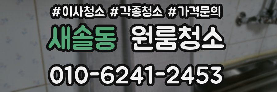 새솔동 이사청소
