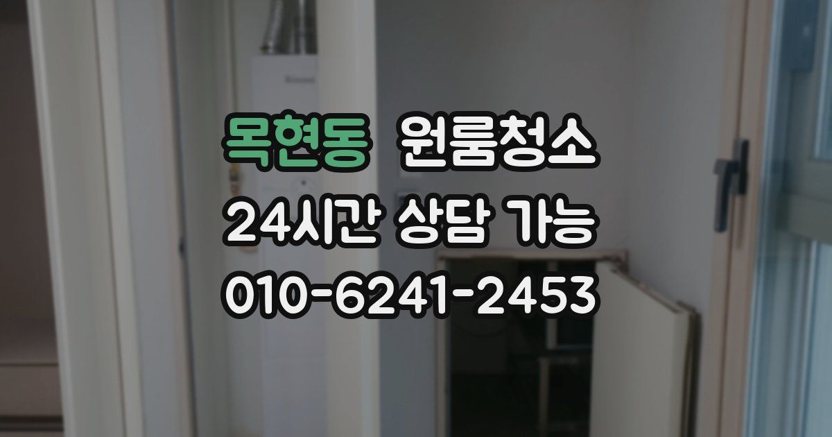 목현동 입주청소