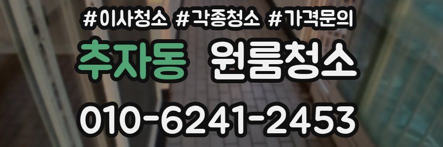 추자동 이사청소