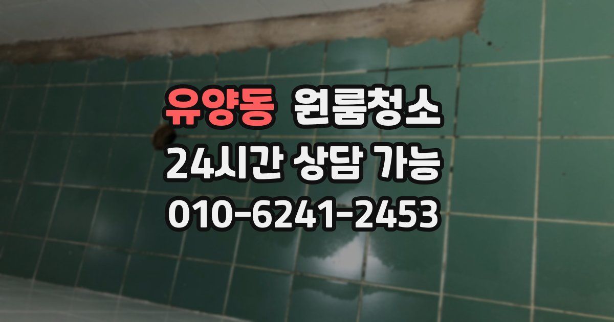 유양동 입주청소