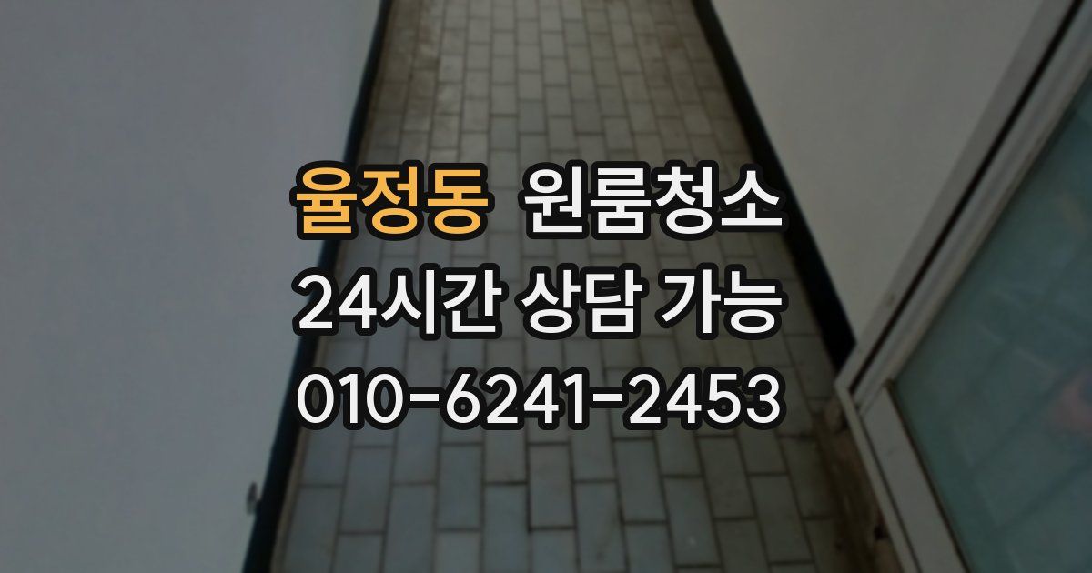 율정동 입주청소