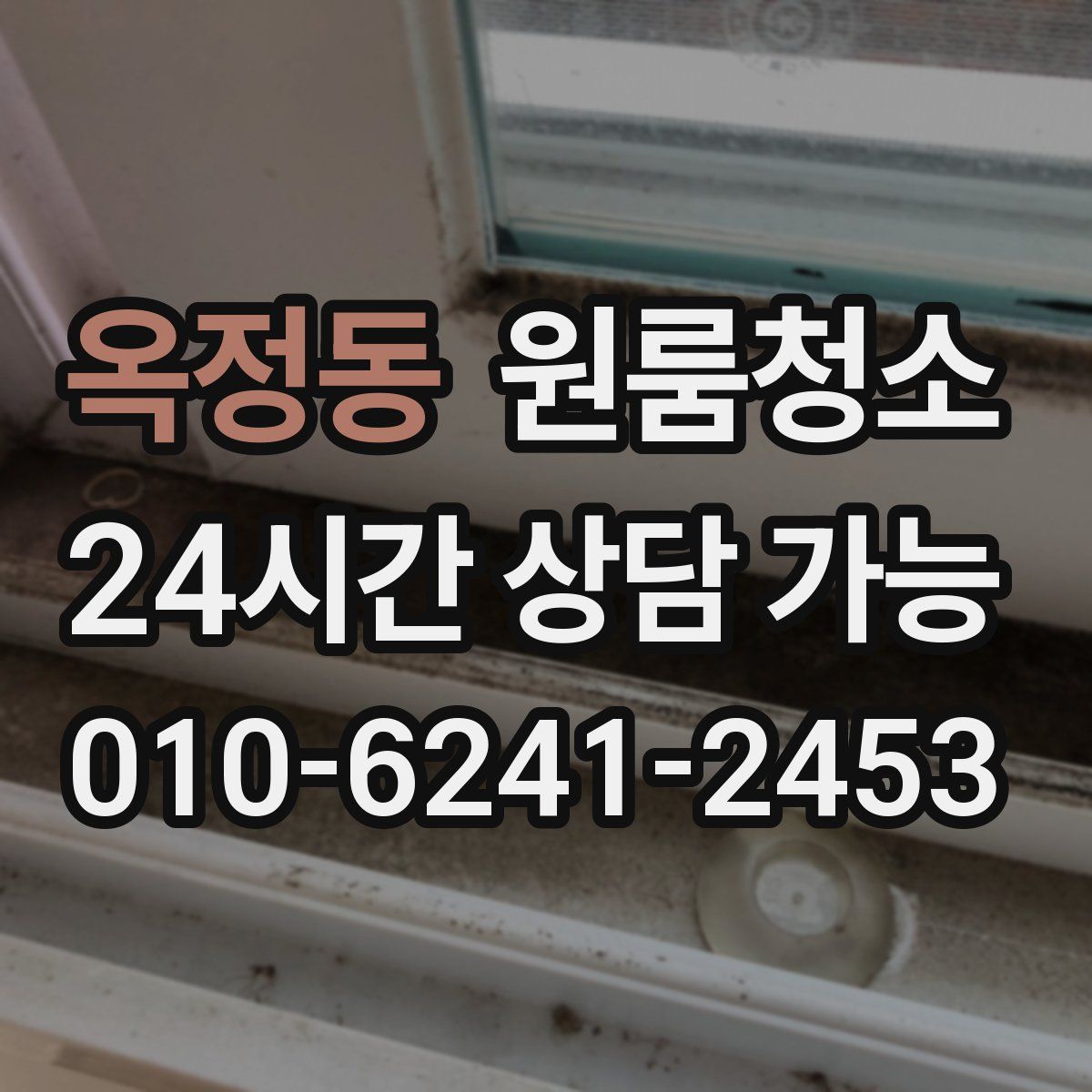 옥정동 원룸청소