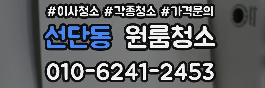 선단동 이사청소