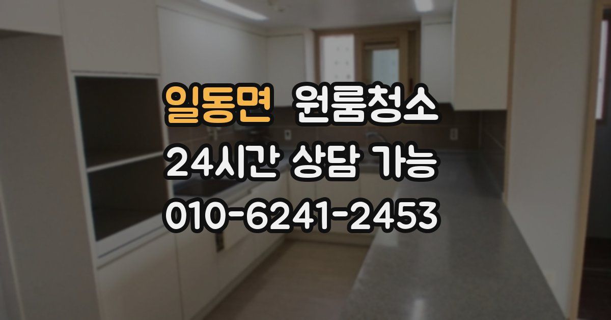 일동면 입주청소