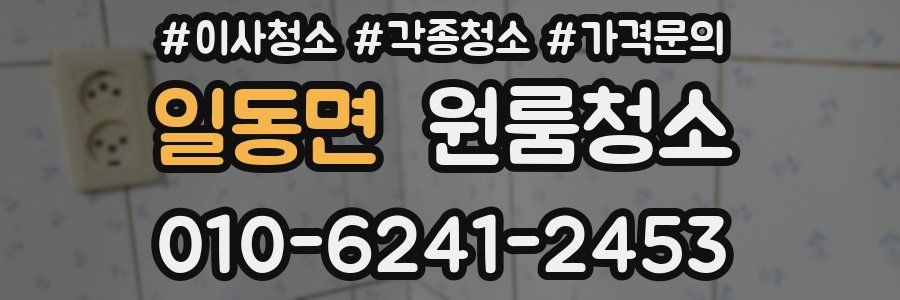 일동면 이사청소