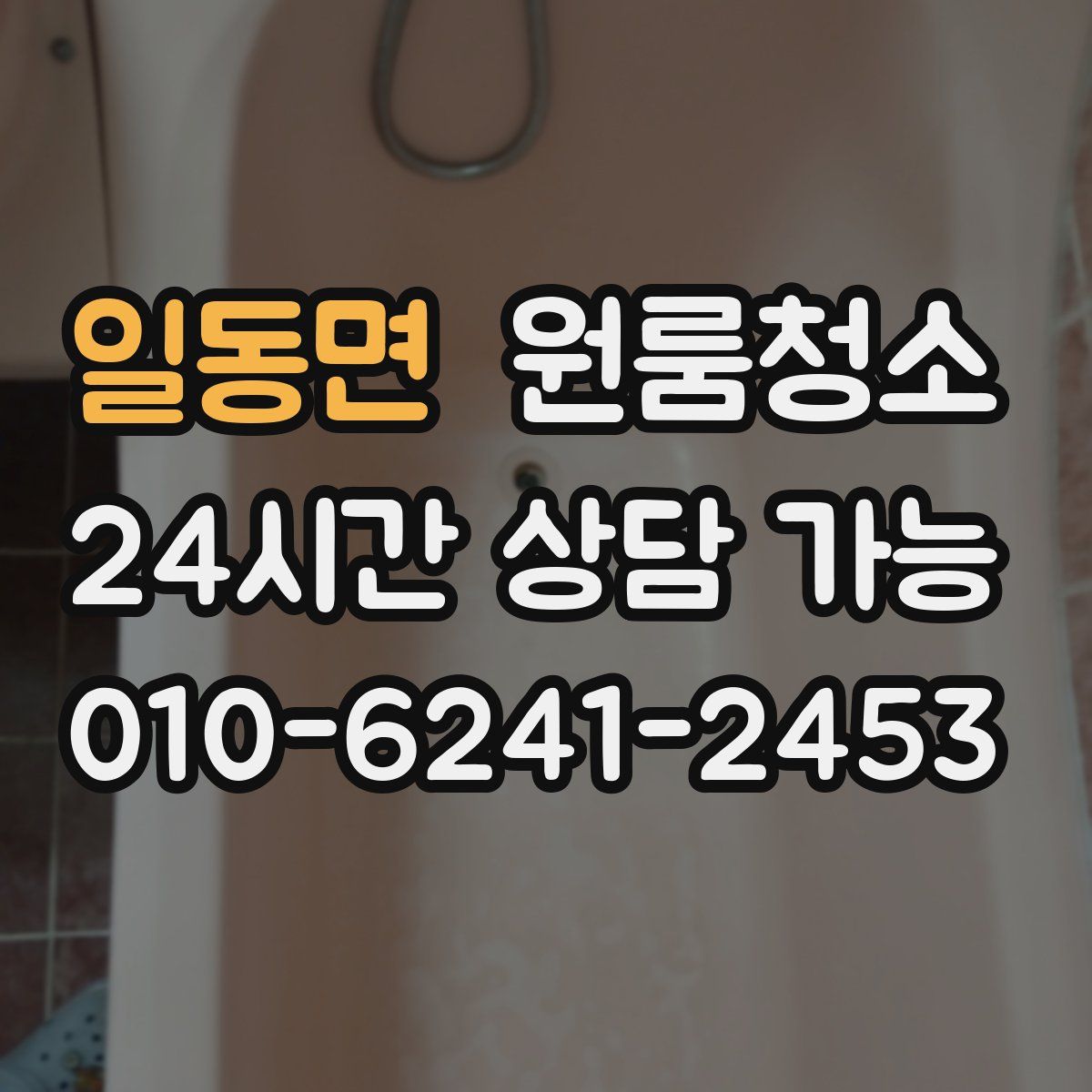 일동면 원룸청소