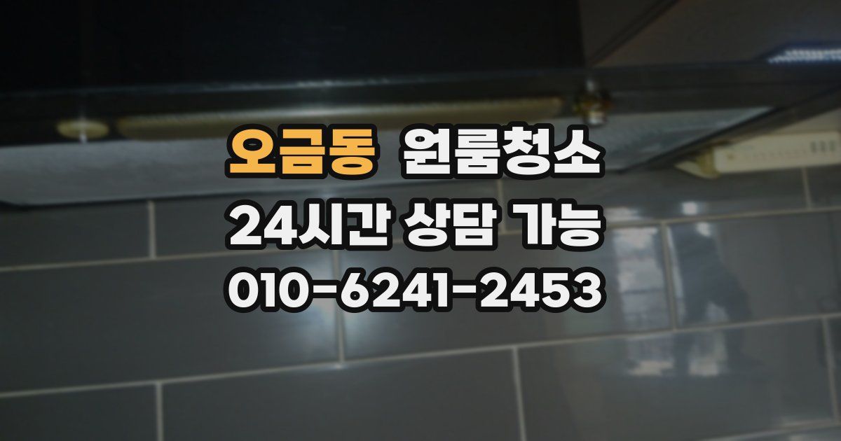 오금동 입주청소