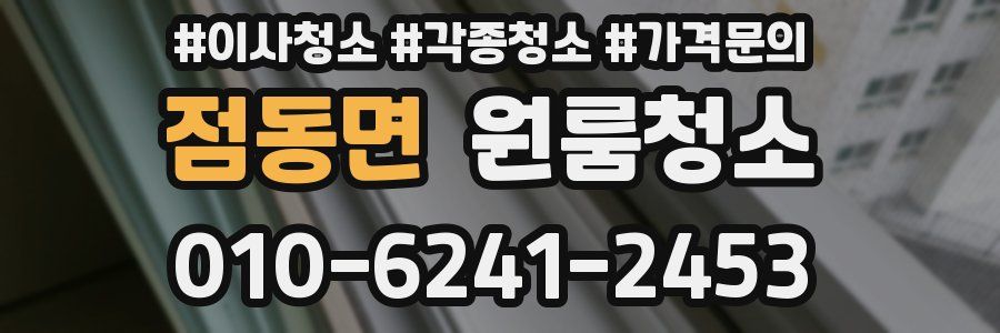 점동면 이사청소