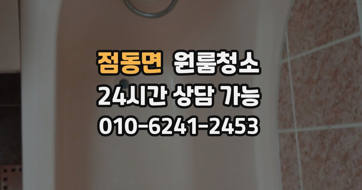 점동면 입주청소