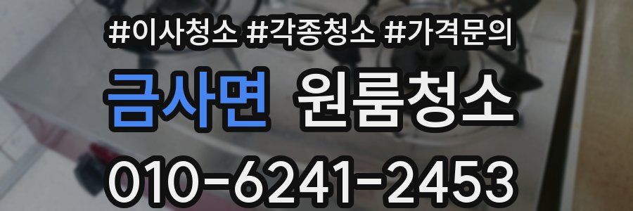 금사면 이사청소