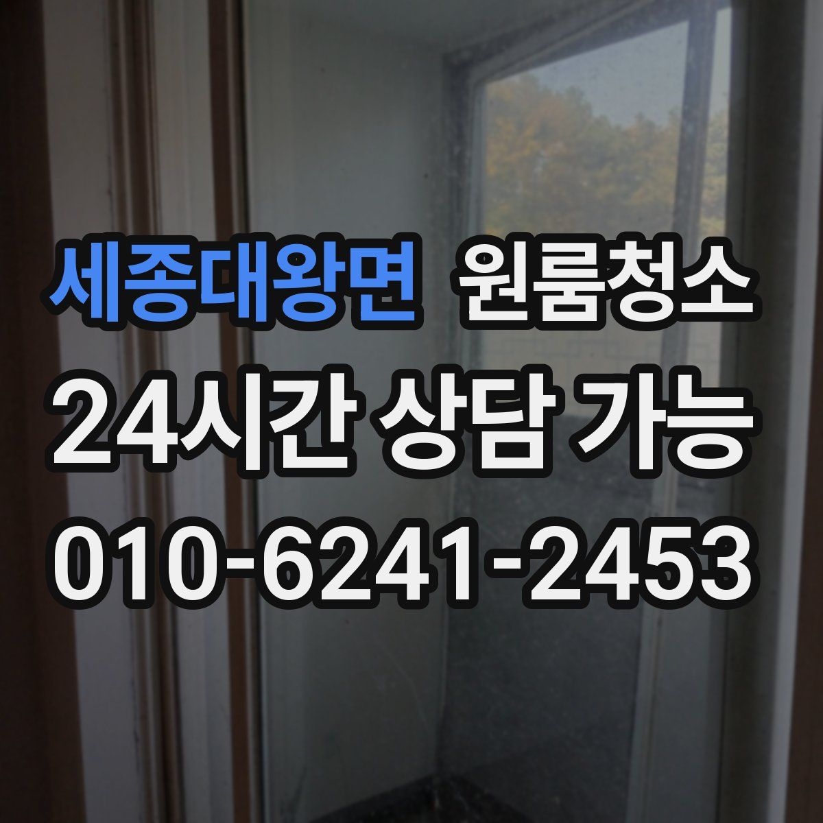 세종대왕면 원룸청소