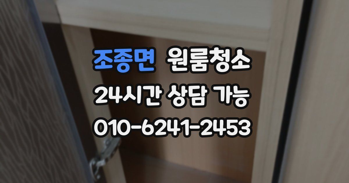 조종면 입주청소