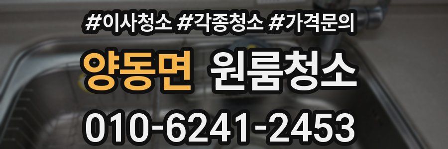 양동면 이사청소