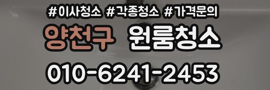 양천구 이사청소