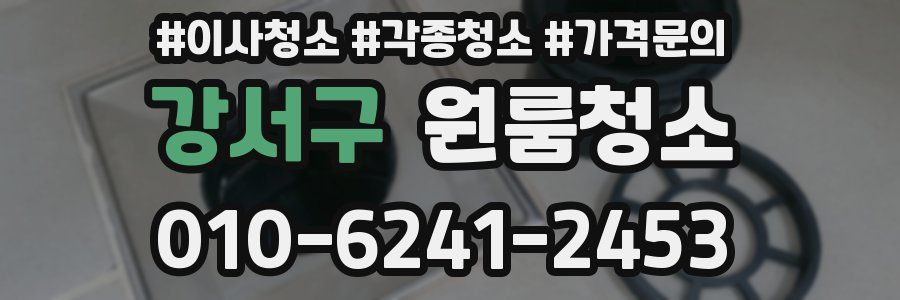 강서구 이사청소