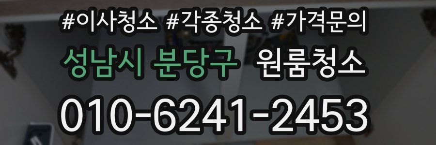 성남시 분당구 이사청소