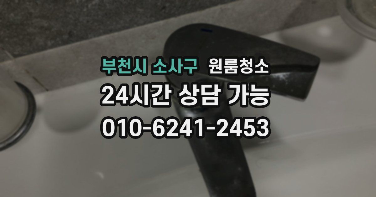 부천시 소사구 입주청소