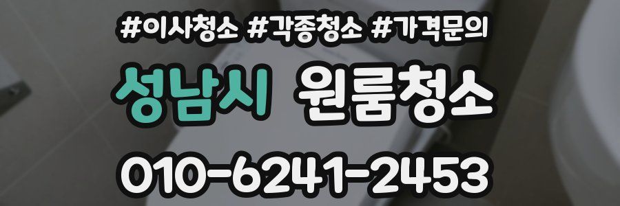 성남시 이사청소