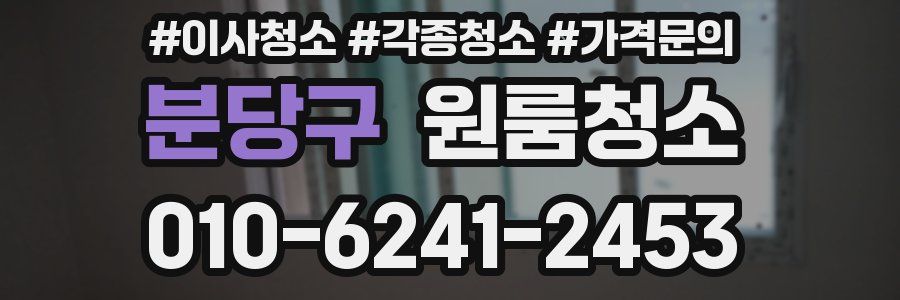 분당구 이사청소