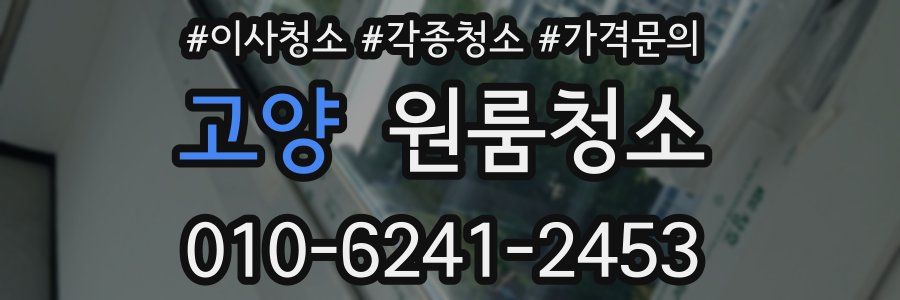 고양 이사청소