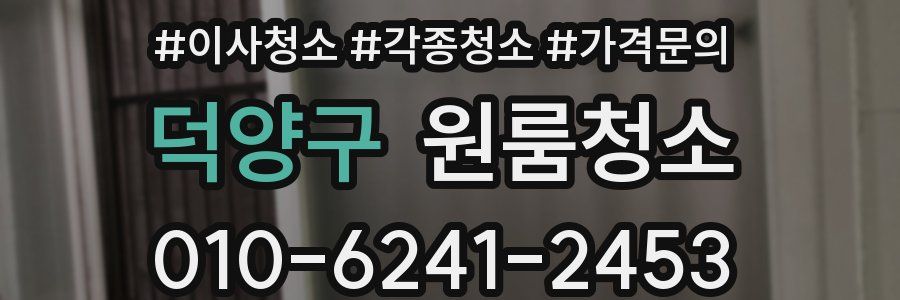 덕양구 이사청소