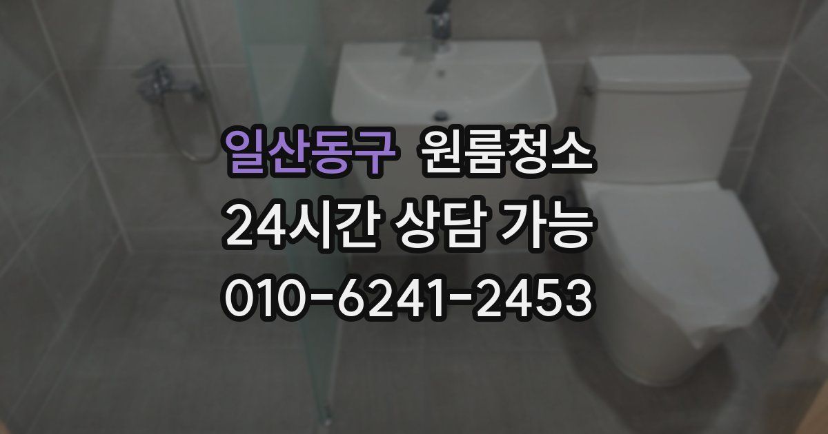 일산동구 입주청소