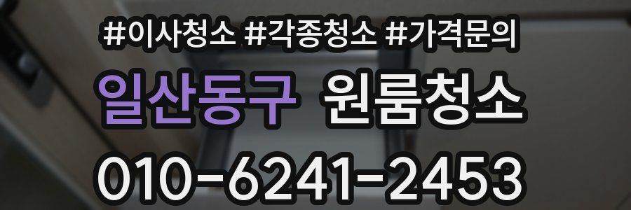 일산동구 이사청소