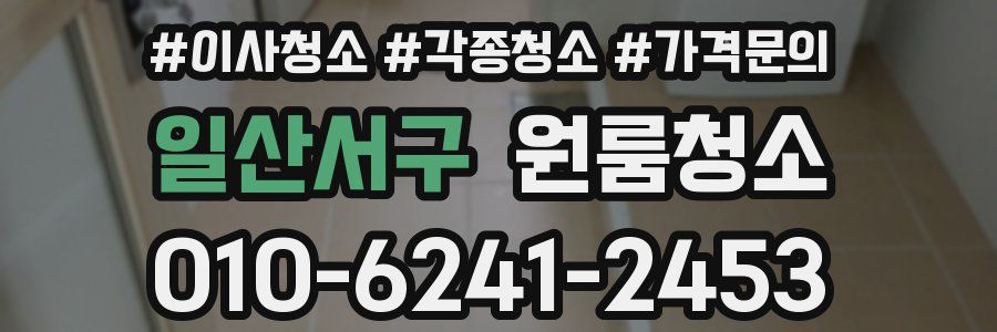 일산서구 이사청소