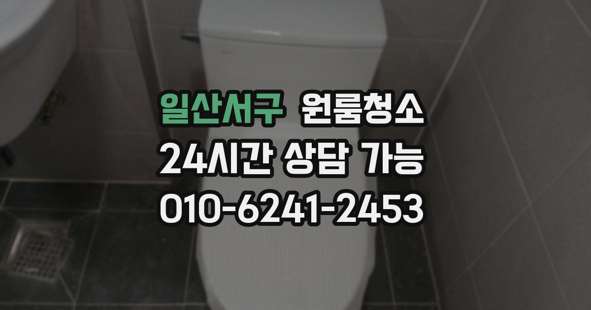 일산서구 입주청소