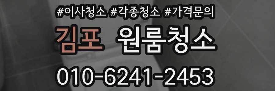 김포 이사청소