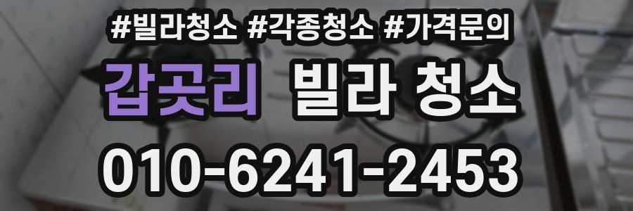 갑곳리 빌라 청소