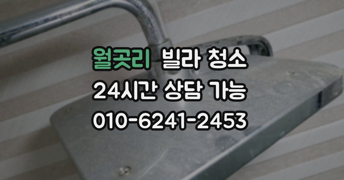 월곳리 빌라 청소