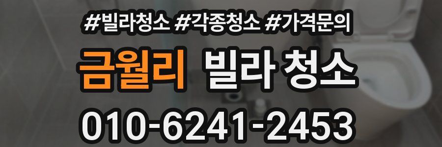 금월리 빌라 청소