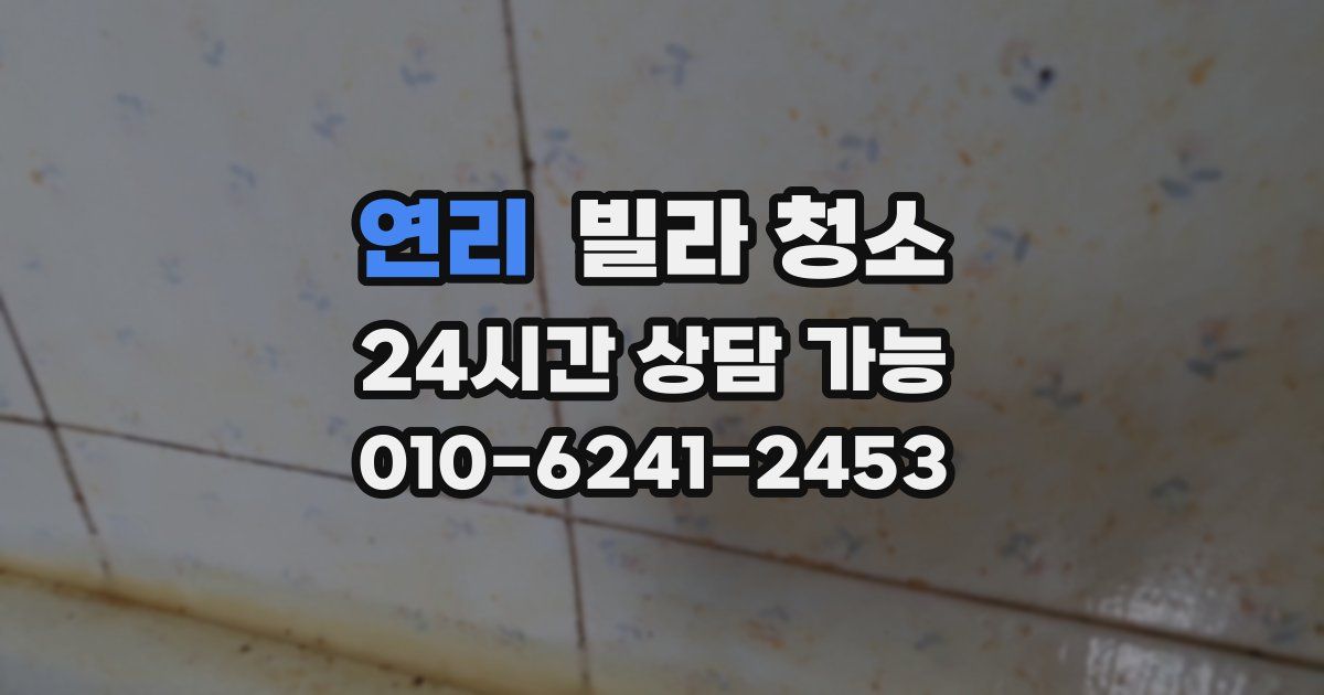 연리 빌라 청소