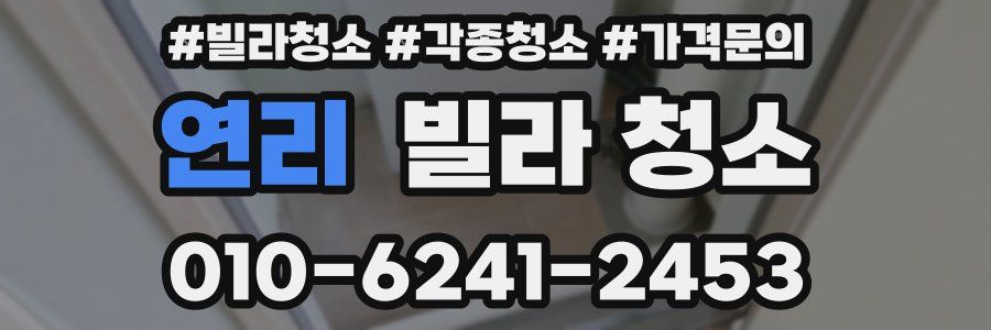 연리 빌라 청소