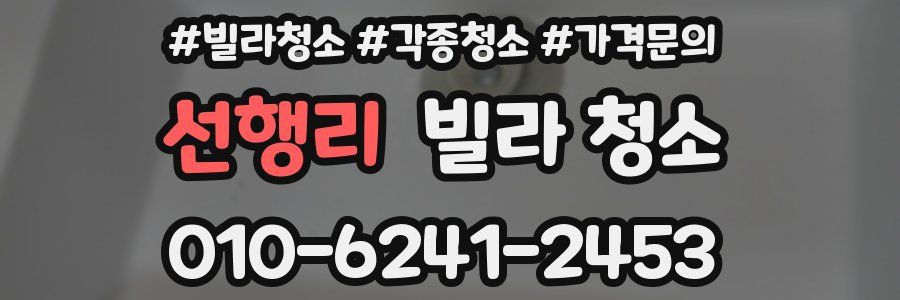 선행리 빌라 청소