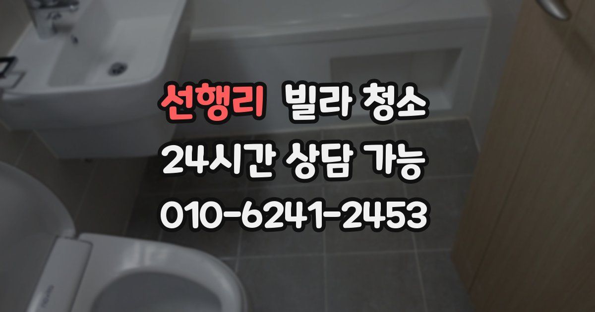 선행리 빌라 청소