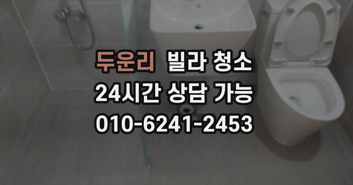 두운리 빌라 청소