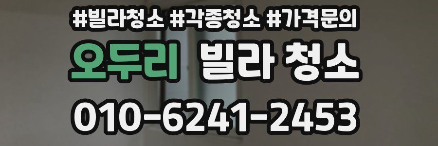 오두리 빌라 청소