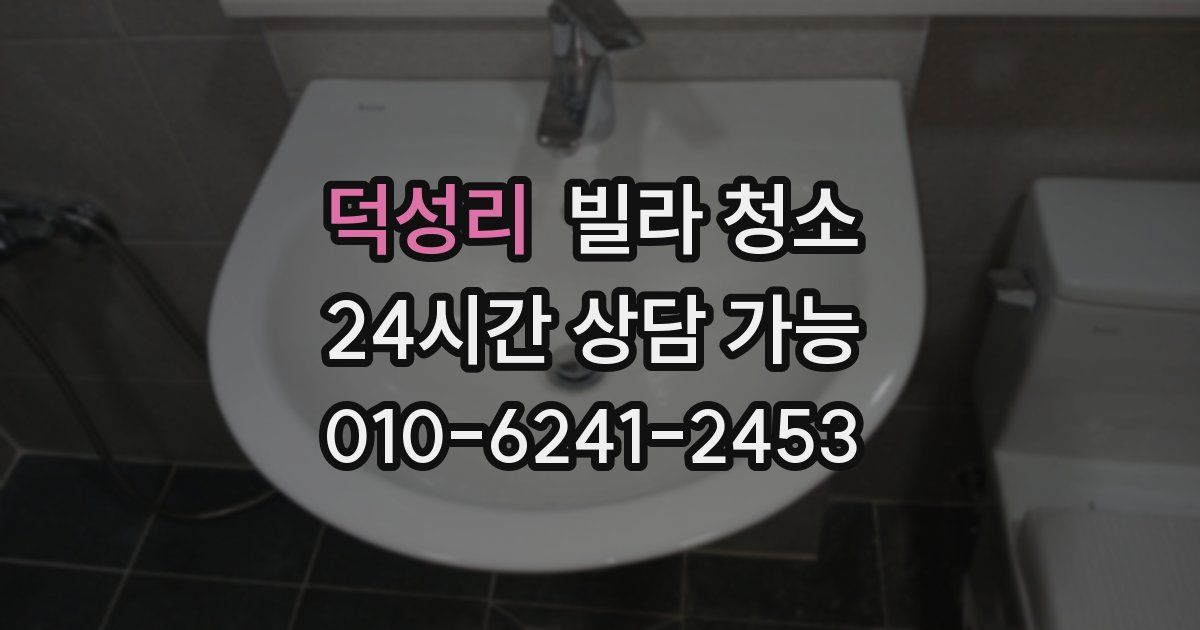 덕성리 빌라 청소