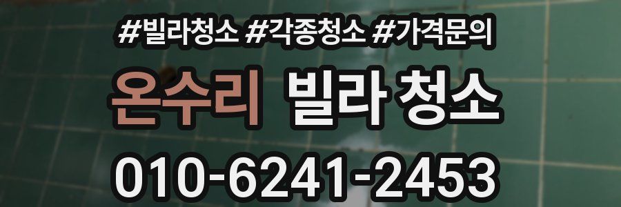 온수리 빌라 청소