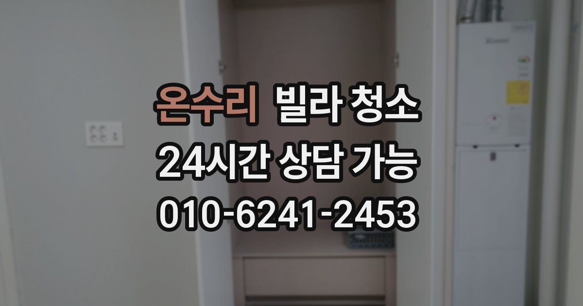 온수리 빌라 청소