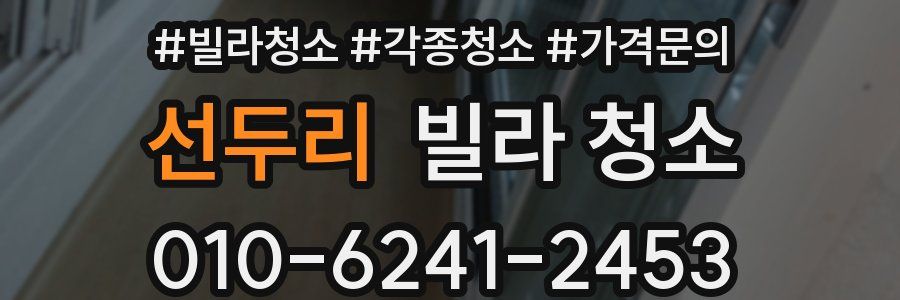 선두리 빌라 청소