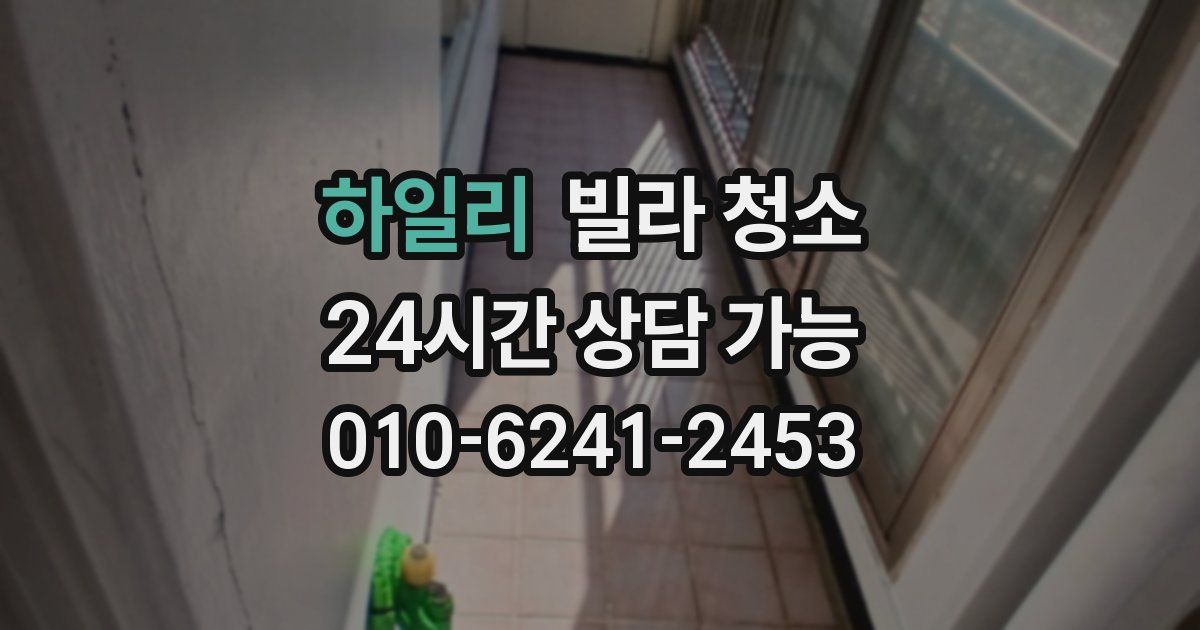 하일리 빌라 청소