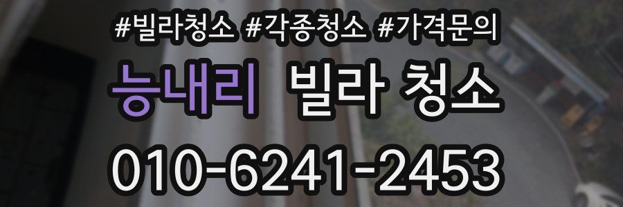 능내리 빌라 청소